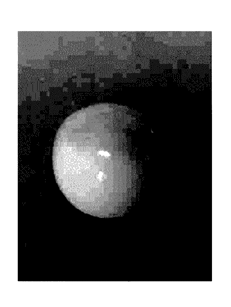 Method for preparing round emulsion beads using low temperature cooling and the product thereof