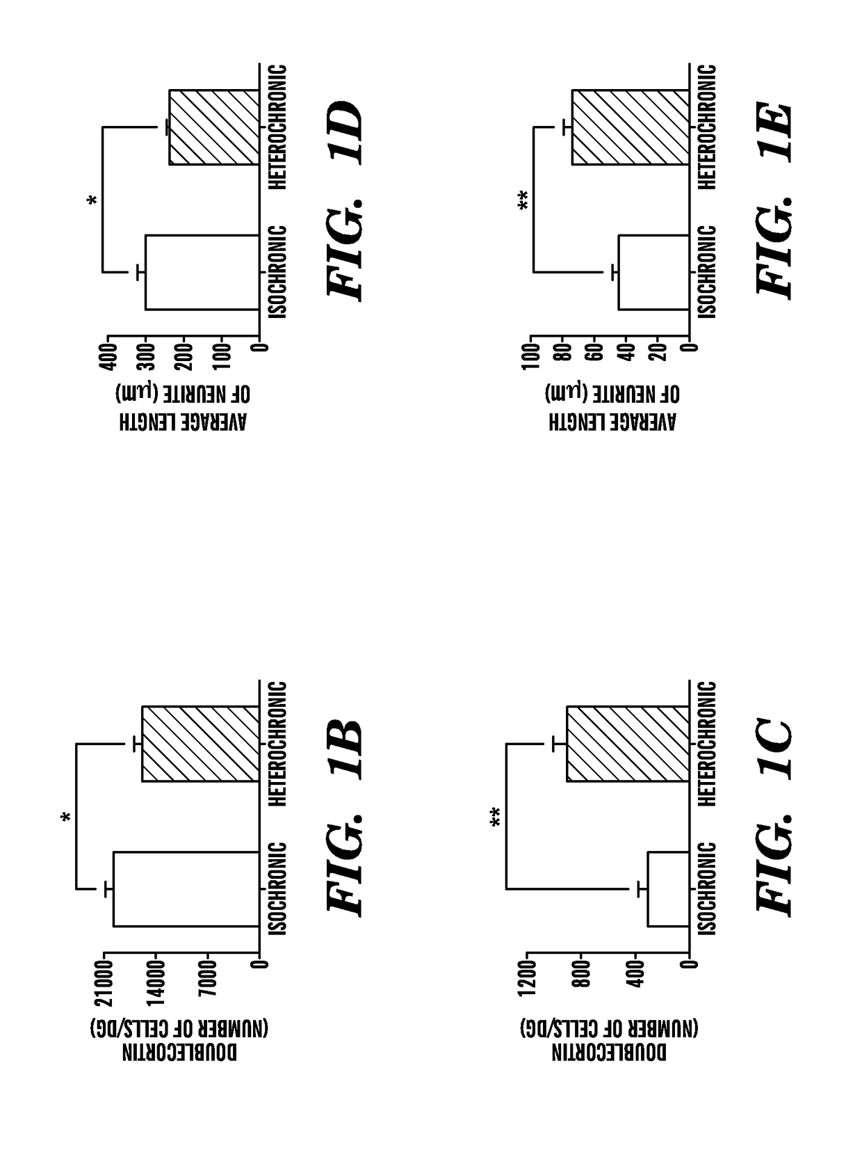 Ccr3 modulation in the treatment of aging-associated impairments, and compositions for practicing the same