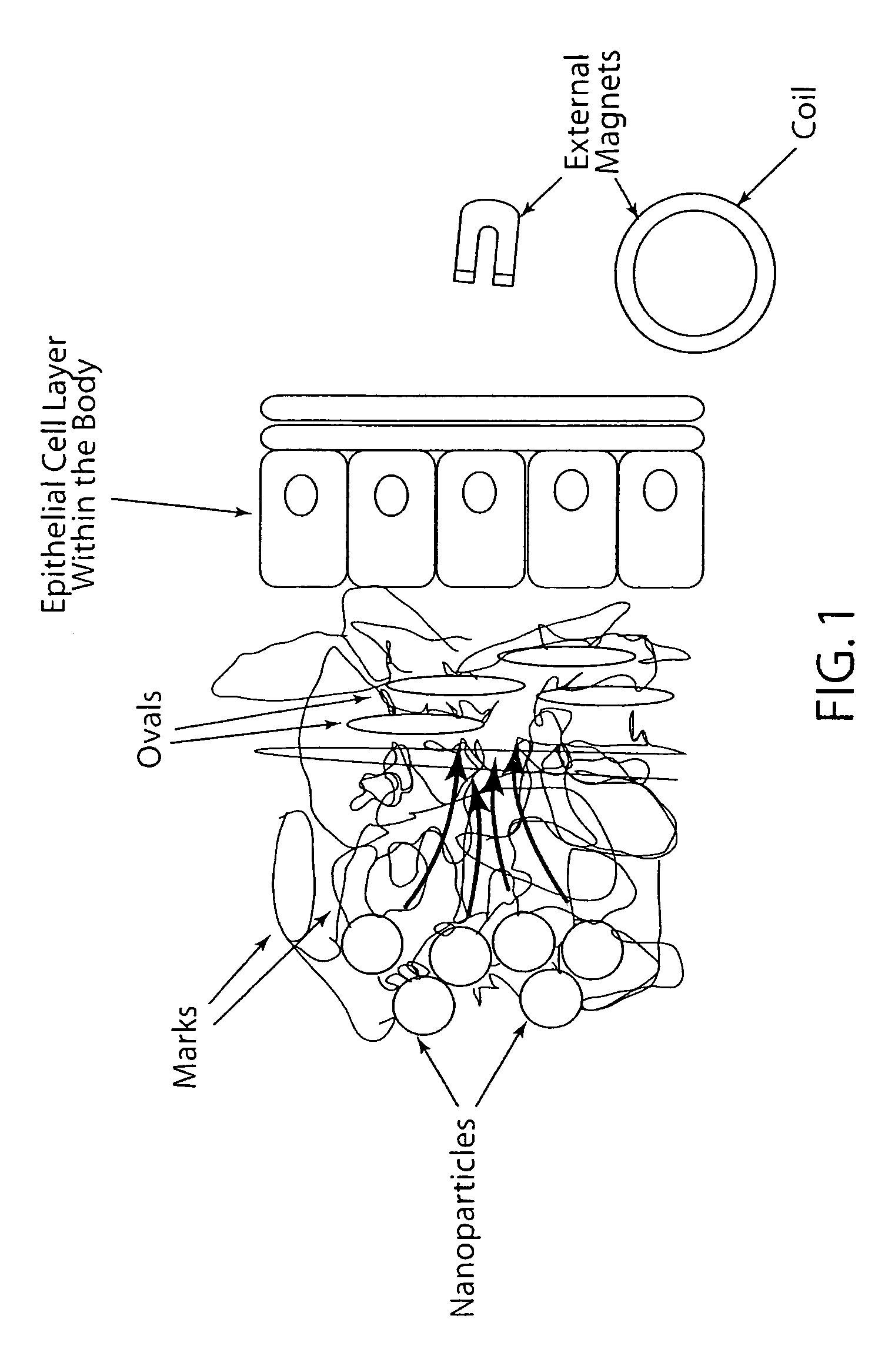 Active nanoparticles and method of using