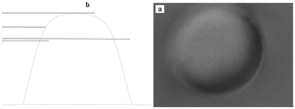 Electroplating solution composition capable of being used for improving salient point coplanarity