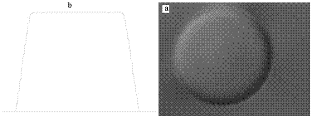 Electroplating solution composition capable of being used for improving salient point coplanarity