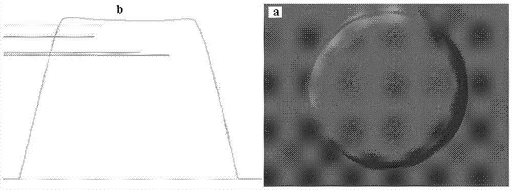 Electroplating solution composition capable of being used for improving salient point coplanarity