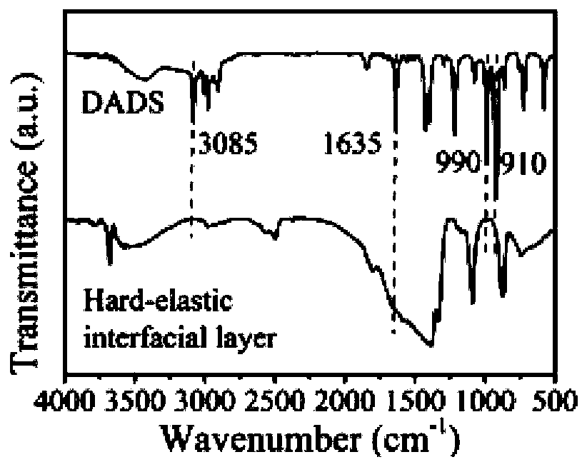 Lithium metal with rigid-elastic interface layer as well as preparation method and application of lithium metal