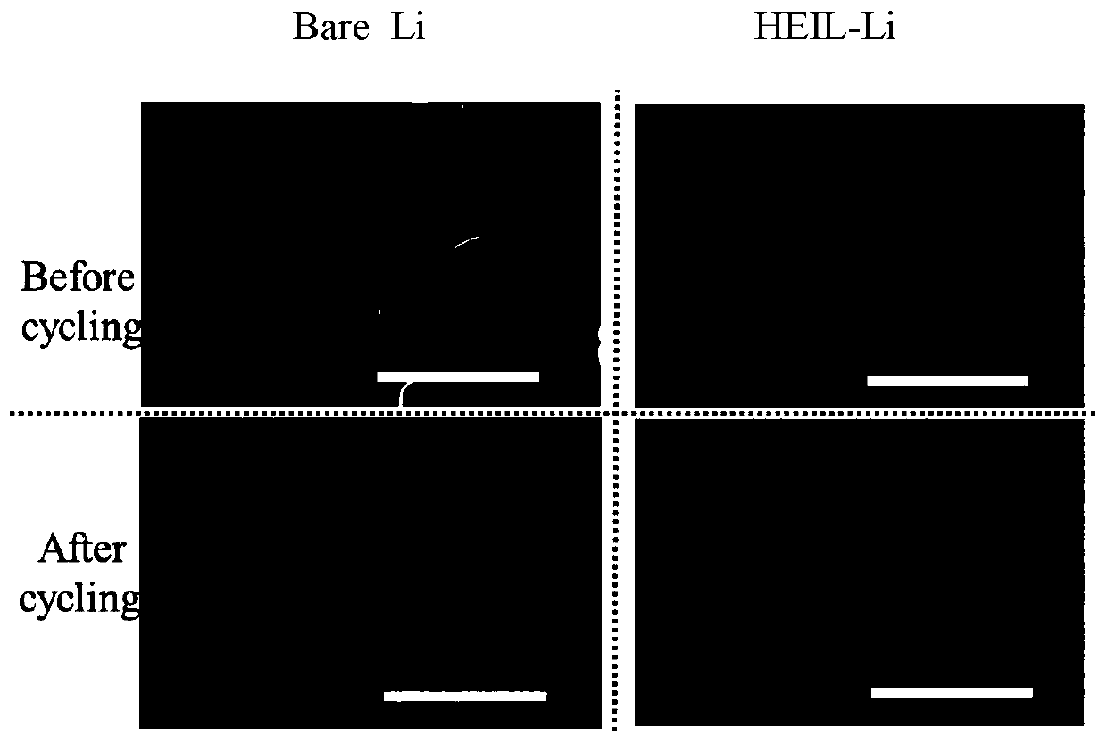 Lithium metal with rigid-elastic interface layer as well as preparation method and application of lithium metal