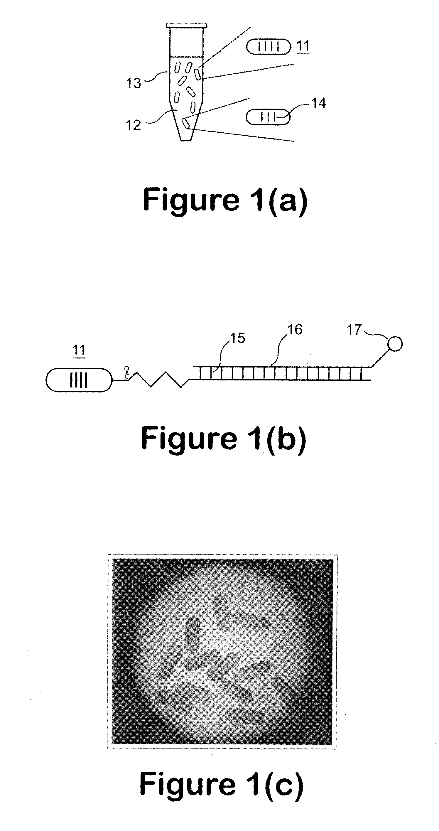 Light Transmitted Assay Beads