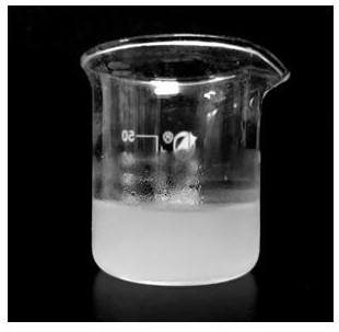 A nerve substrate catheter for nerve repair and its preparation method