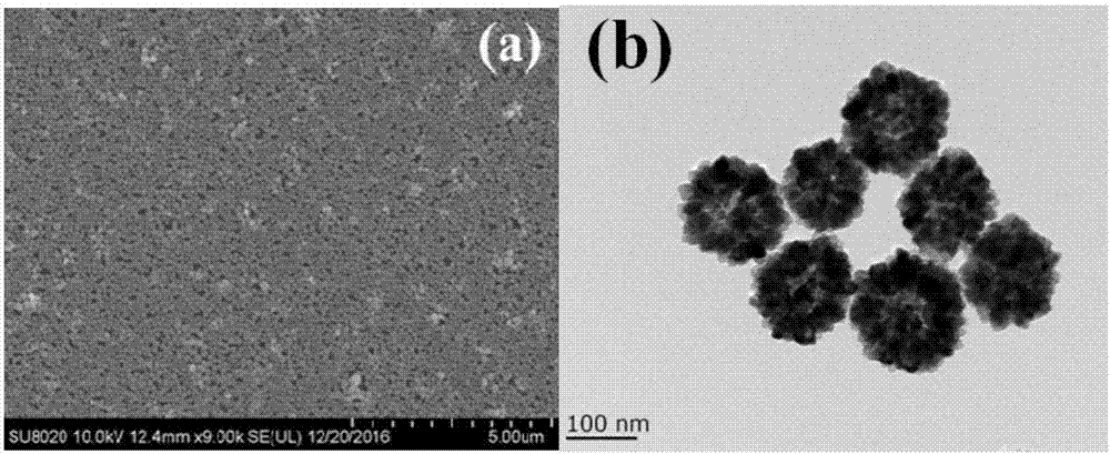 Stannic oxide hollow porous film gas sensitive element and preparation method thereof