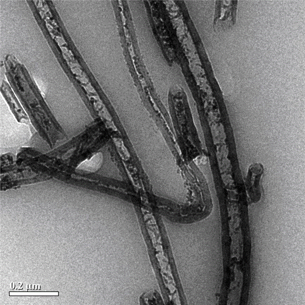 Carbon nanofiber filled with metal oxide nanoparticles and preparation method thereof