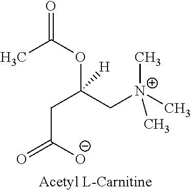 Multiparticulate L-Carnitine And Nootropic Compositions And Related Methods