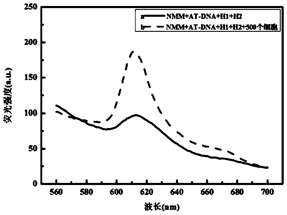 A method for homogeneous non-standard detection of telomerase activity based on triple amplification technology