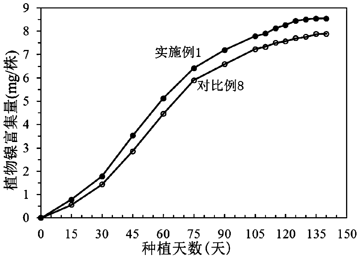 Botanical nickel mining method for low-grade nickel ore