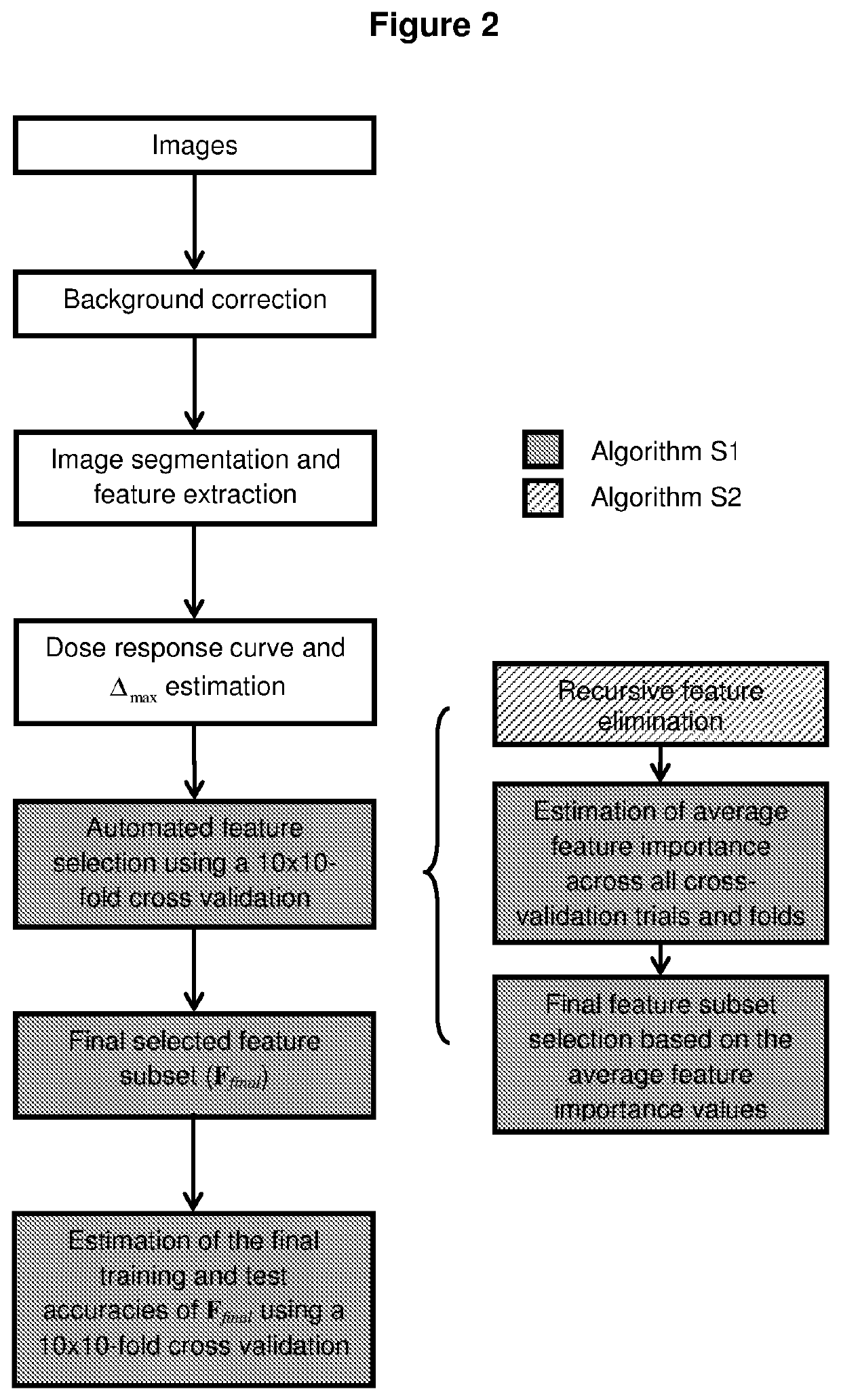 High throughput method for accurate prediction of compound-induced liver injury