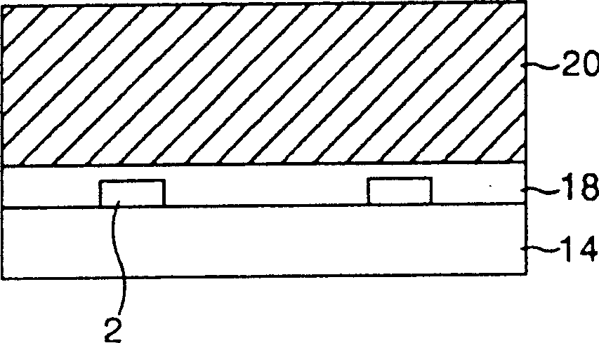 Plasma display and manufacturing method