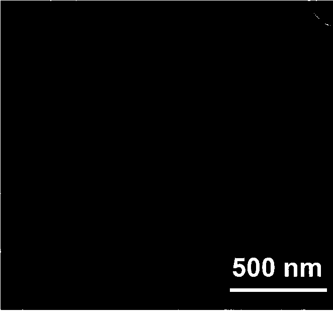 Preparation method of carbon-coated nano tin balls and products and application thereof