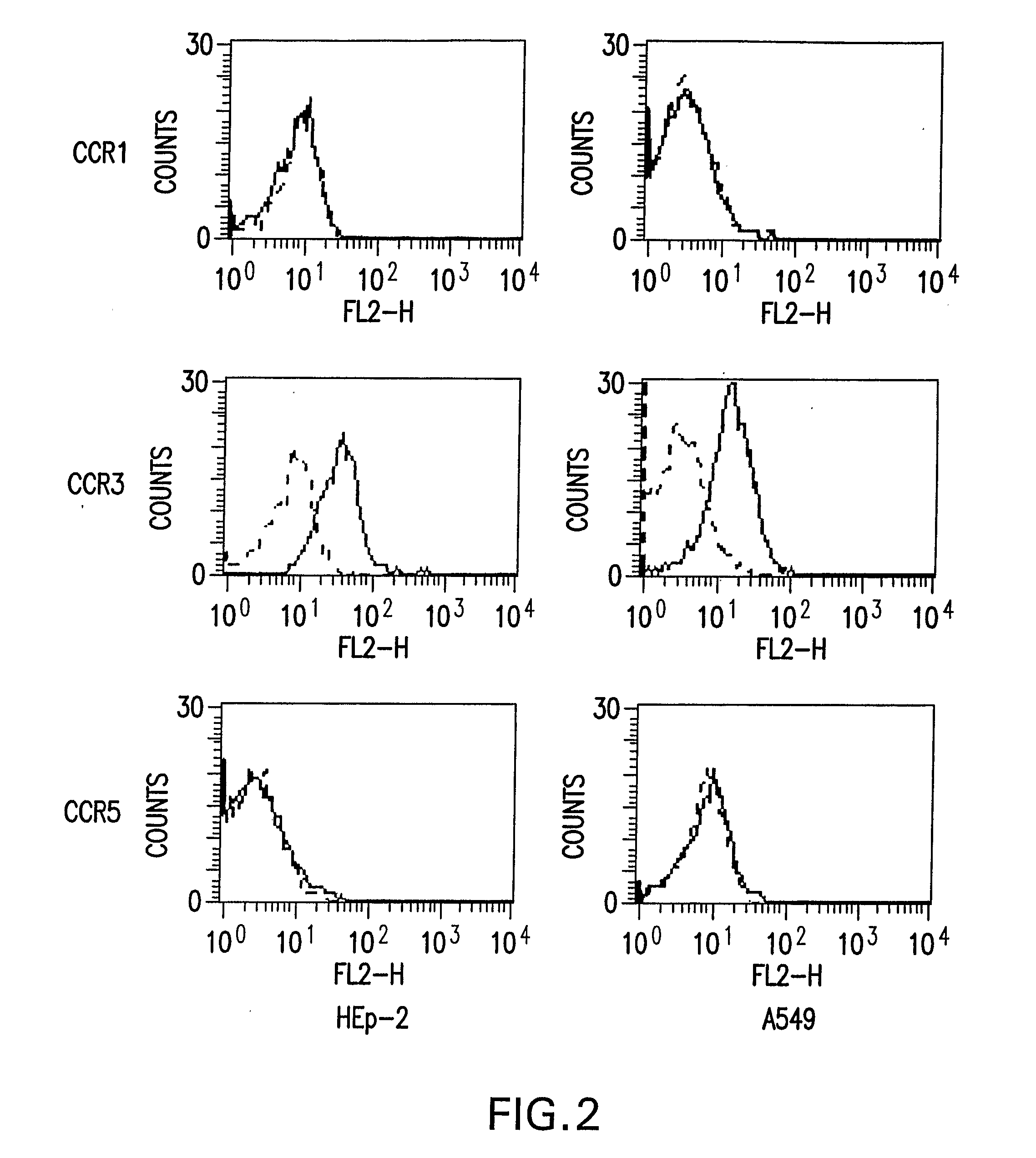 Antiviral compositions which inhibit paramyxovirus infection