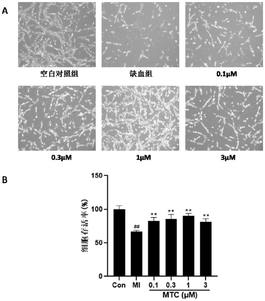 A hydrogen sulfide donor and its preparation method and use