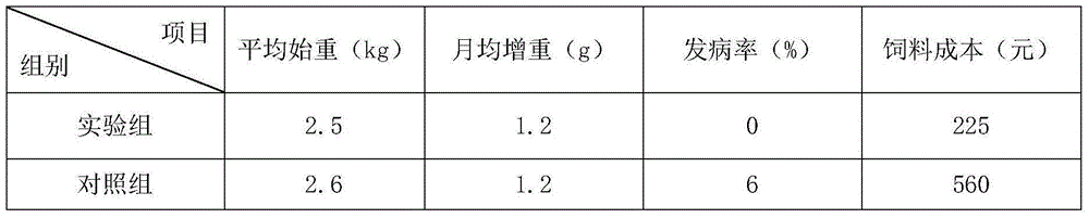 Grapefruit fermented feed and preparation method thereof