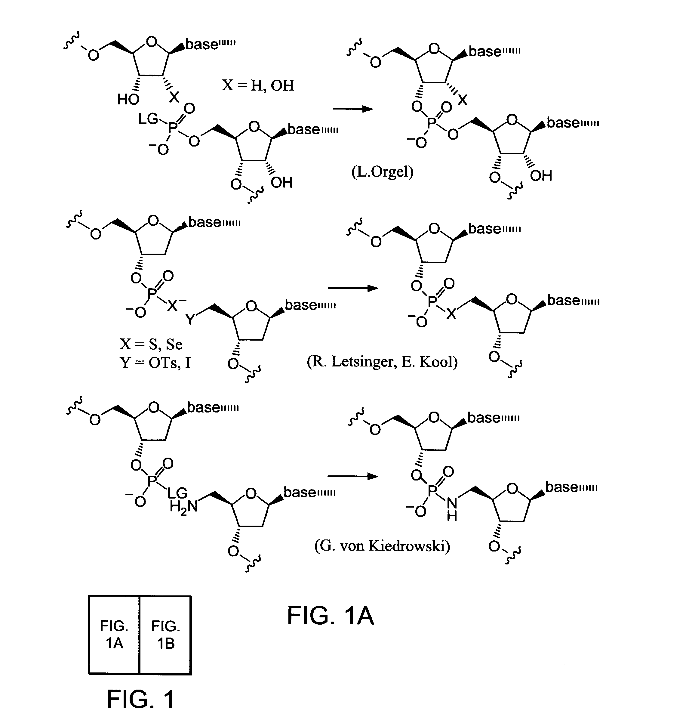 Evolving new molecular function