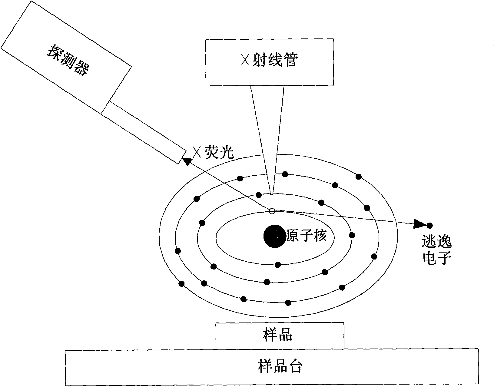 Device and method for measuring coating by using X-ray fluorescence spectrometer