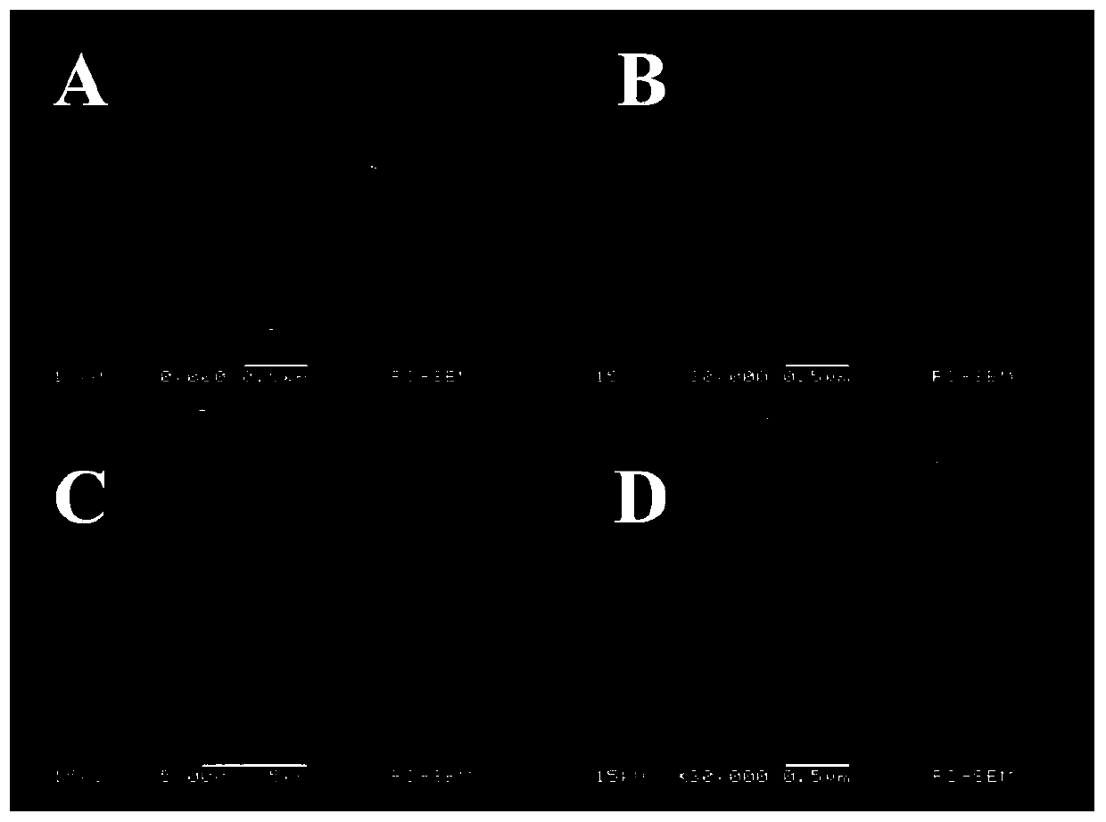 Electrochemical luminescence method for detecting diethylstilbestrol