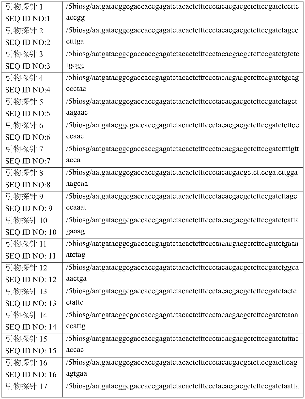 Probe and method for carrying out hybrid capturing on gene duplication area