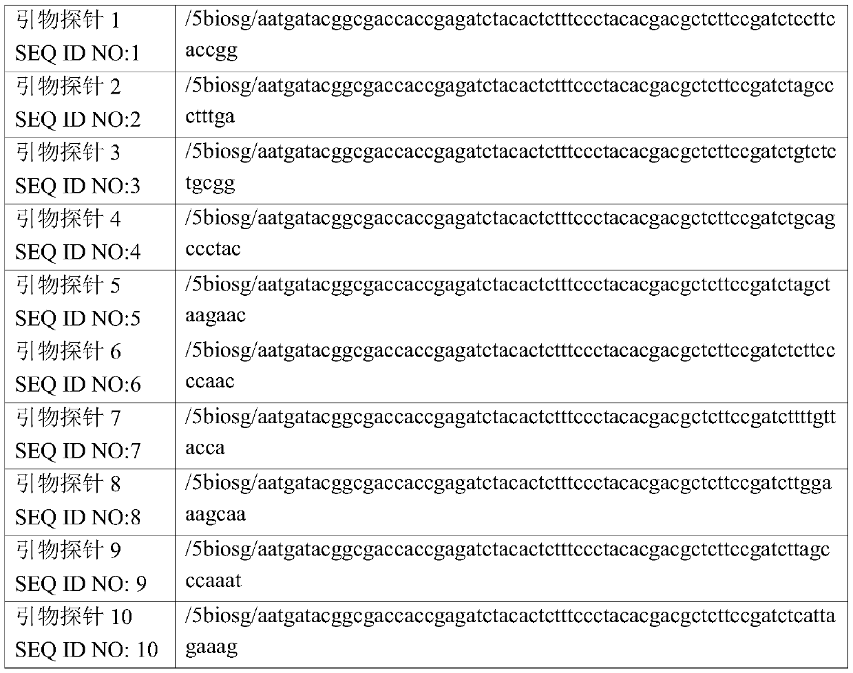 Probe and method for carrying out hybrid capturing on gene duplication area