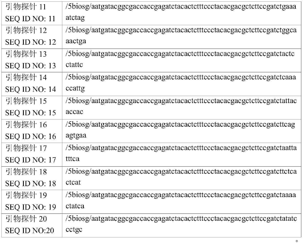 Probe and method for carrying out hybrid capturing on gene duplication area