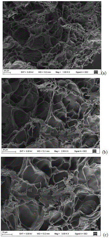 Preparation of chitosan-based adsorption agent and application of chitosan-based adsorption agent to heavy metal ion wastewater treatment