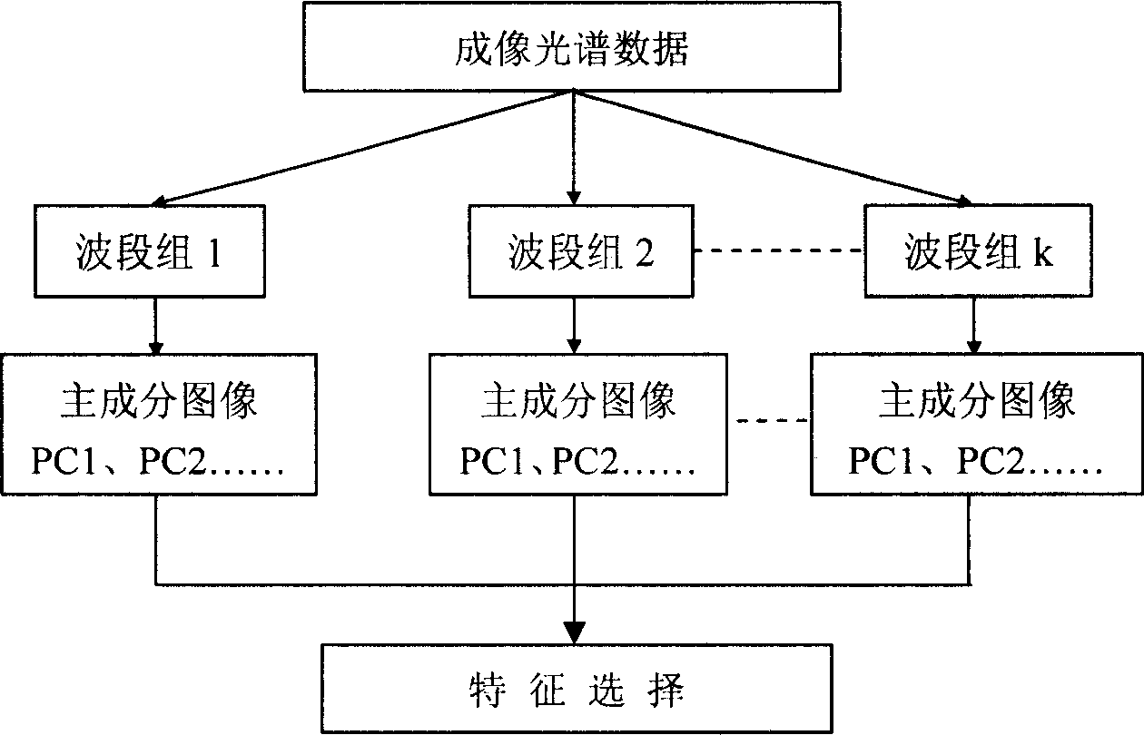 Agricultural application integrating system for earth observation technique and its method