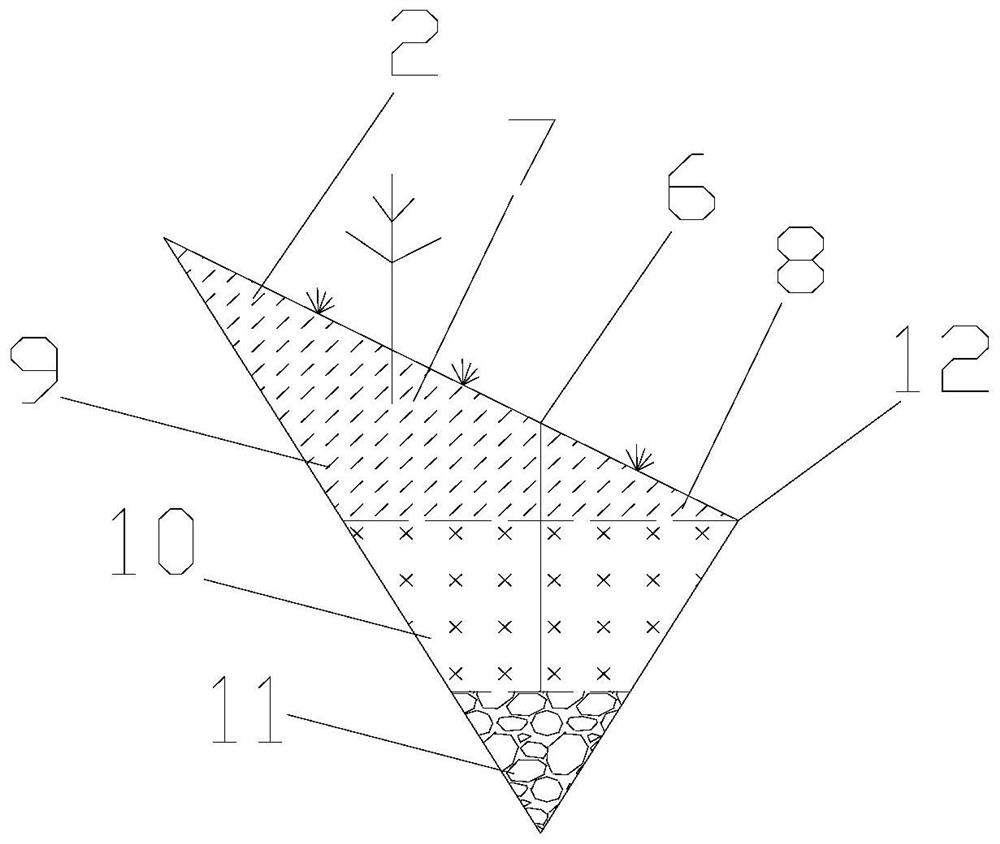 Slope fixing device for water conservancy project