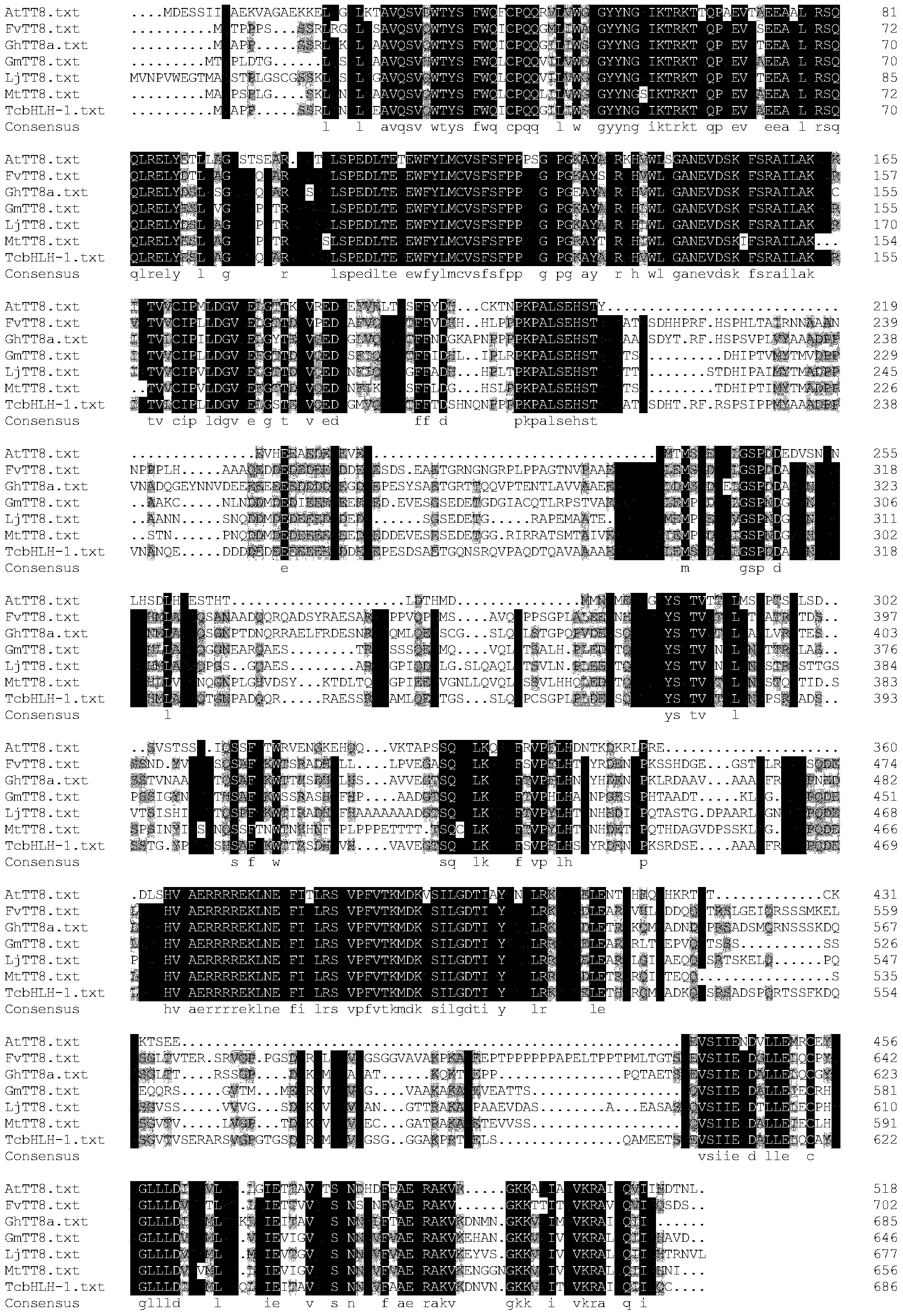 Functions of cotton GhMTT8a gene and application of the cotton GhMTT8a gene in brown cellucotton modification by utilization of biological technical means