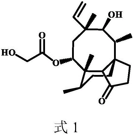 Pleuromulin derivative with acyl piperazine side chain and preparing method and application of pleuromulin derivative