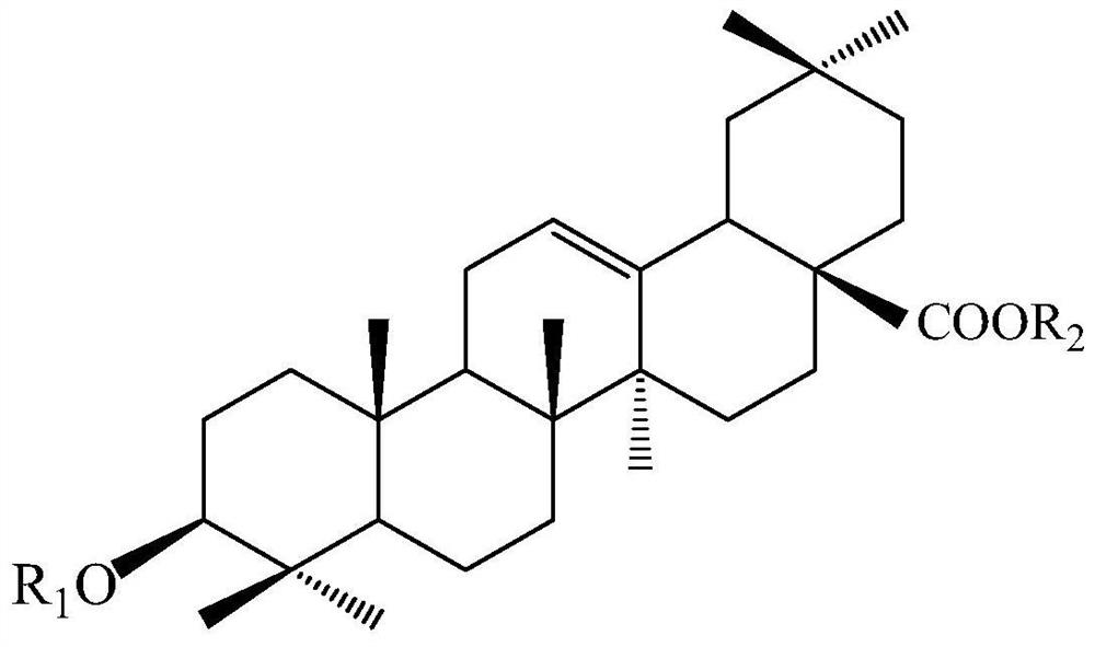 Method for obtaining secondary metabolites such as ginseng saponin by using large-scale culture and biotransformation technology of ginseng cells