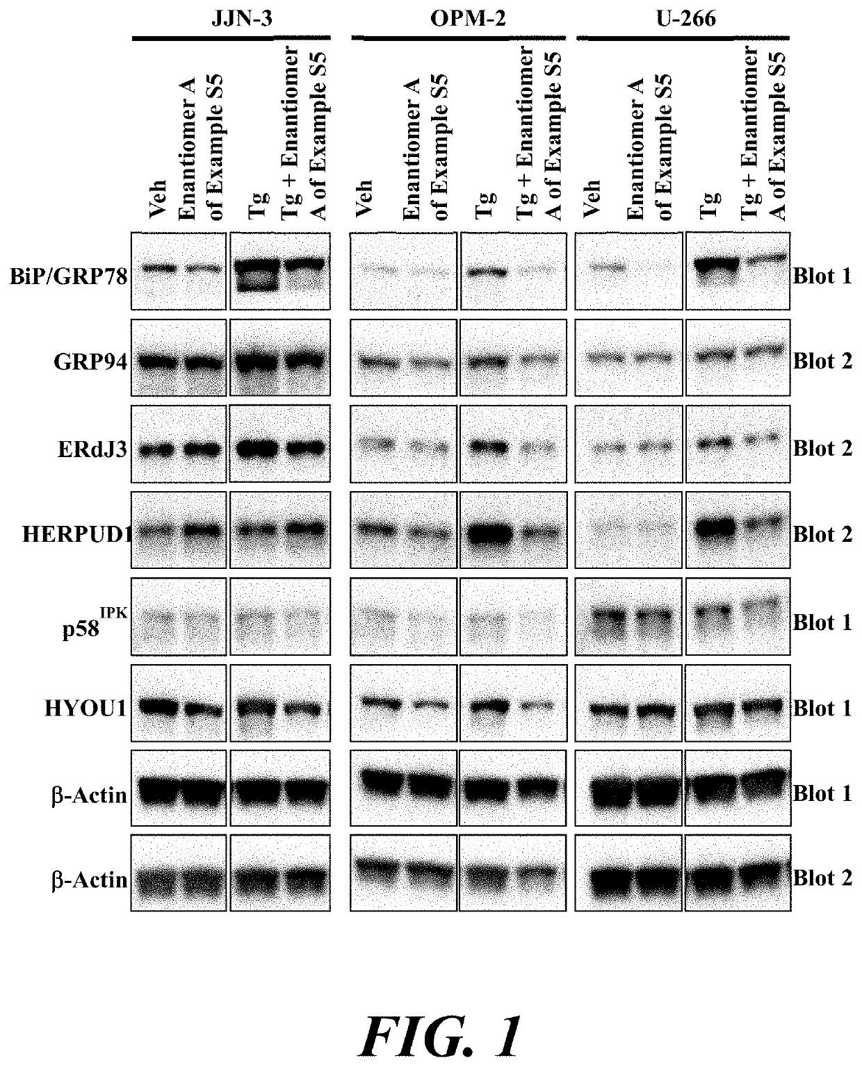 Atf6 inhibitors and uses thereof