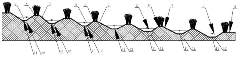 Artificial wetland system suitable for artificial restoration of aquatic fireflies and construction method of artificial wetland system