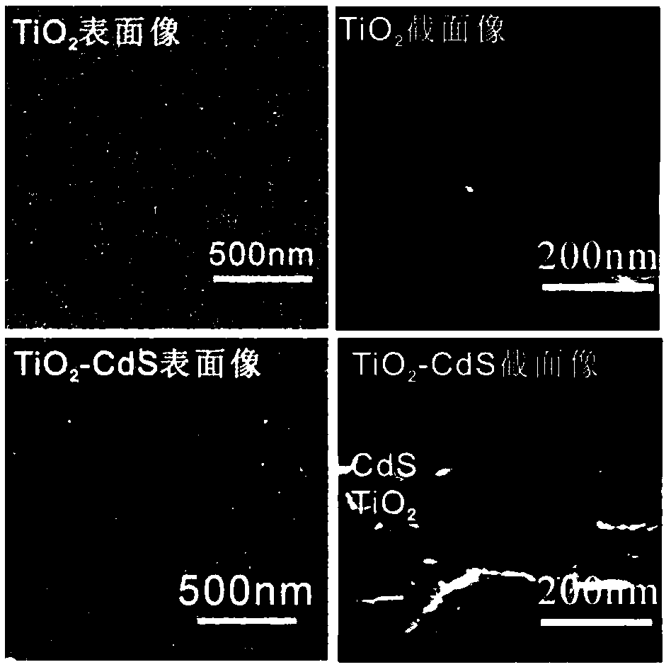 A hybrid solar cell based on the integration of multiple heterojunction properties and a preparation method thereof