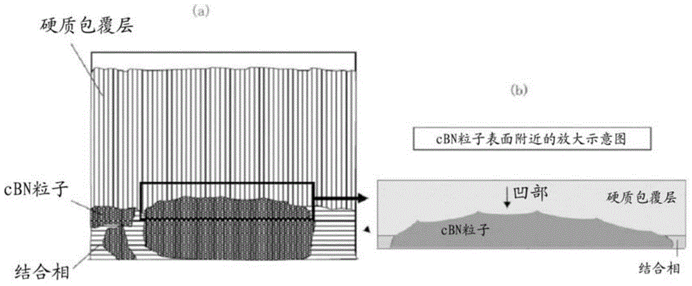 Surface coating cutting tool with excellent chipping resistance