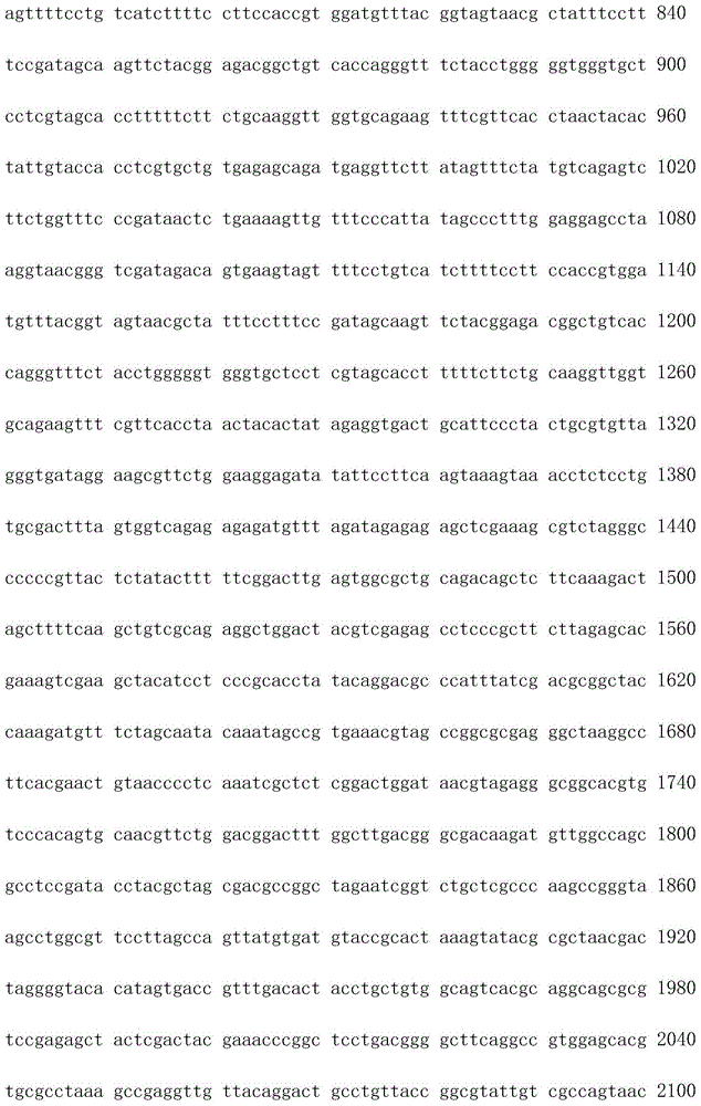 High yielding cellulase engineering bacterium and application thereof