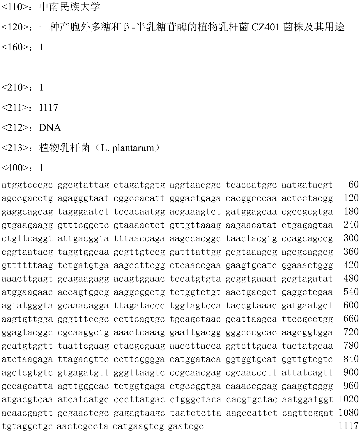 A kind of Lactobacillus plantarum cz401 strain producing exopolysaccharide and β-galactosidase and its application