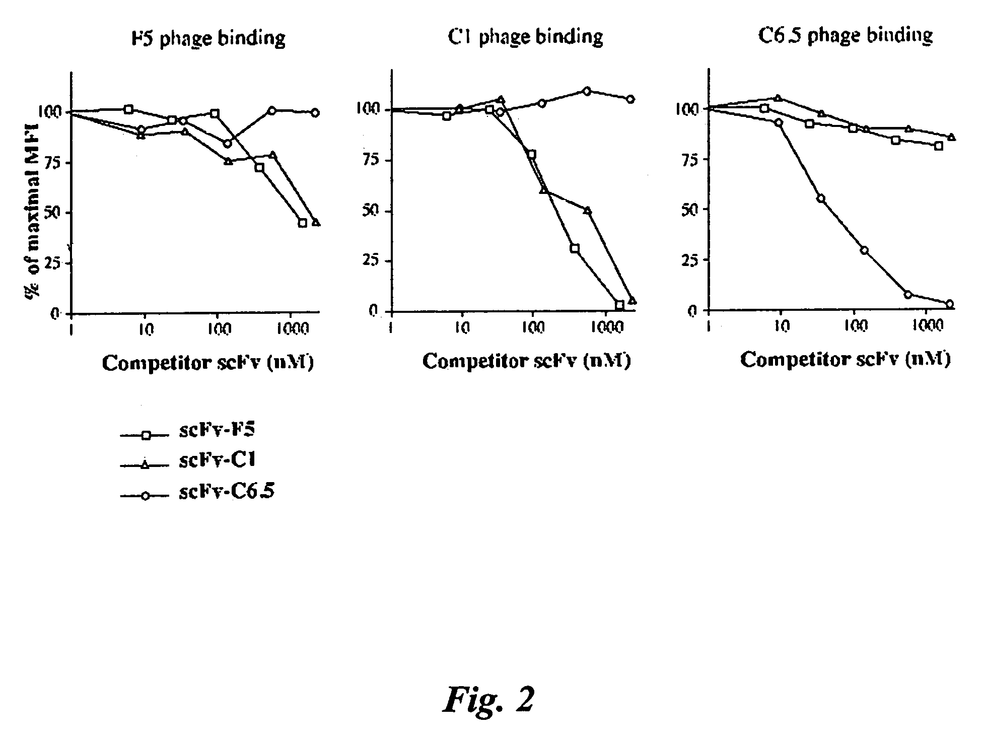 Internalizing ERB2 antibodies