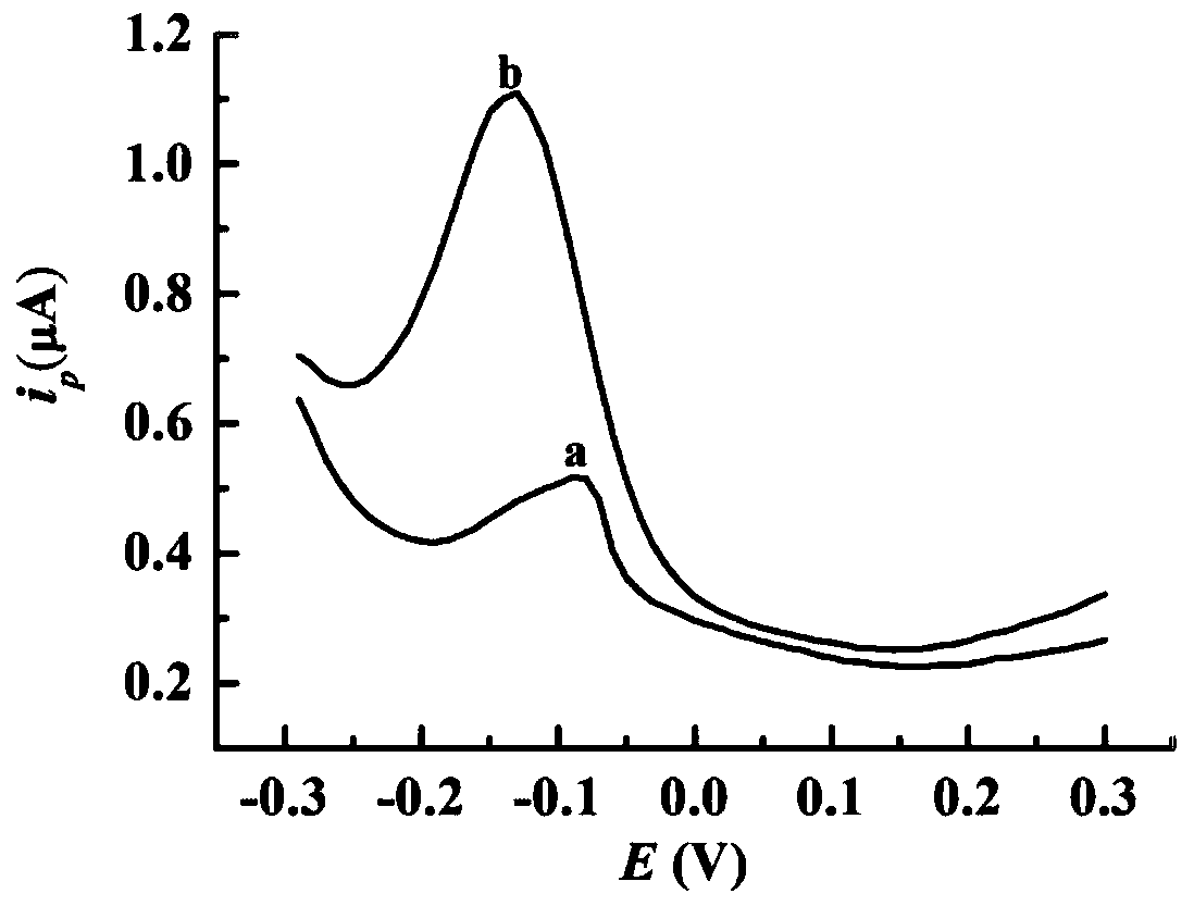 Preparation method of electrochemical sensor used for highly sensitively detecting copper ions