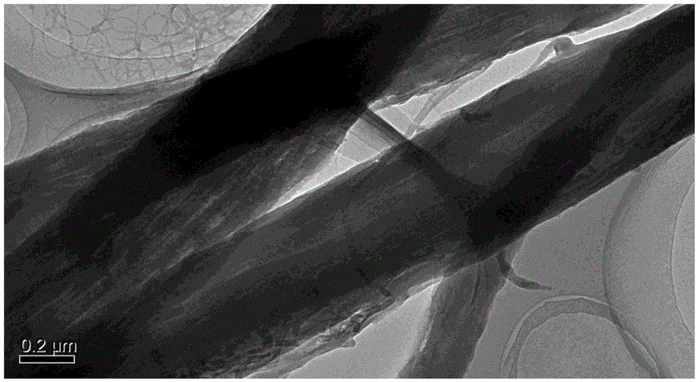 Nano carbon-doped porous fiber single electrode, membrane electrode and preparation method