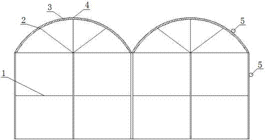 Greenhouse for planting fruits and vegetables