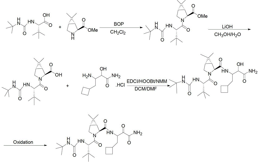 Intermediate V of anti-hepatitis C drug boceprevir and its preparation method and application