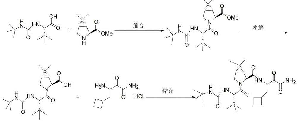 Intermediate V of anti-hepatitis C drug boceprevir and its preparation method and application