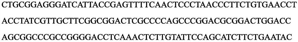 Beauveria bassiana dispersible oil suspending agent and efficient use method thereof