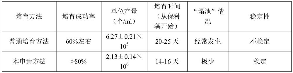 Method for cultivating seawater chlorella in cement pond and method for cultivating grouper fries