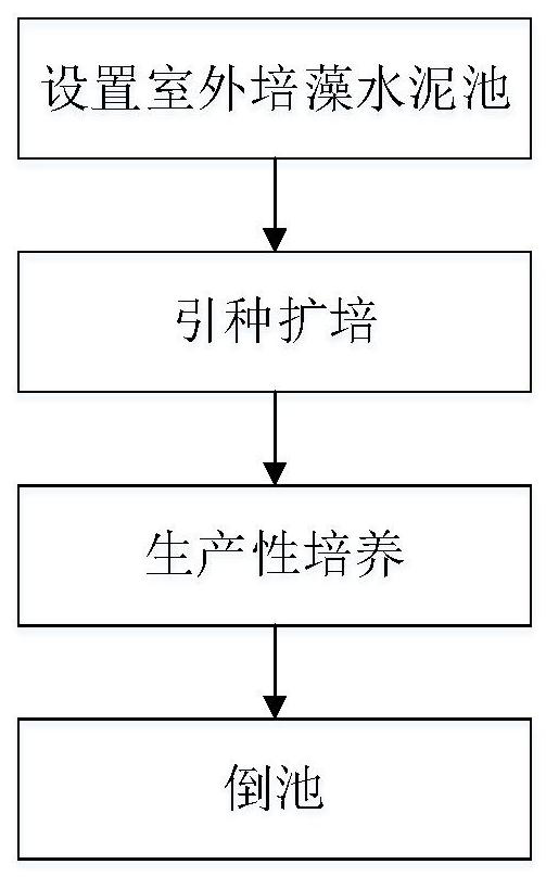 Method for cultivating seawater chlorella in cement pond and method for cultivating grouper fries