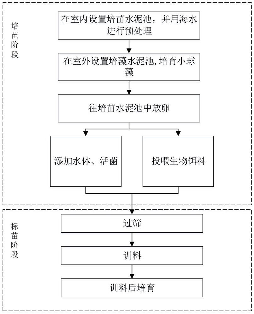 Method for cultivating seawater chlorella in cement pond and method for cultivating grouper fries