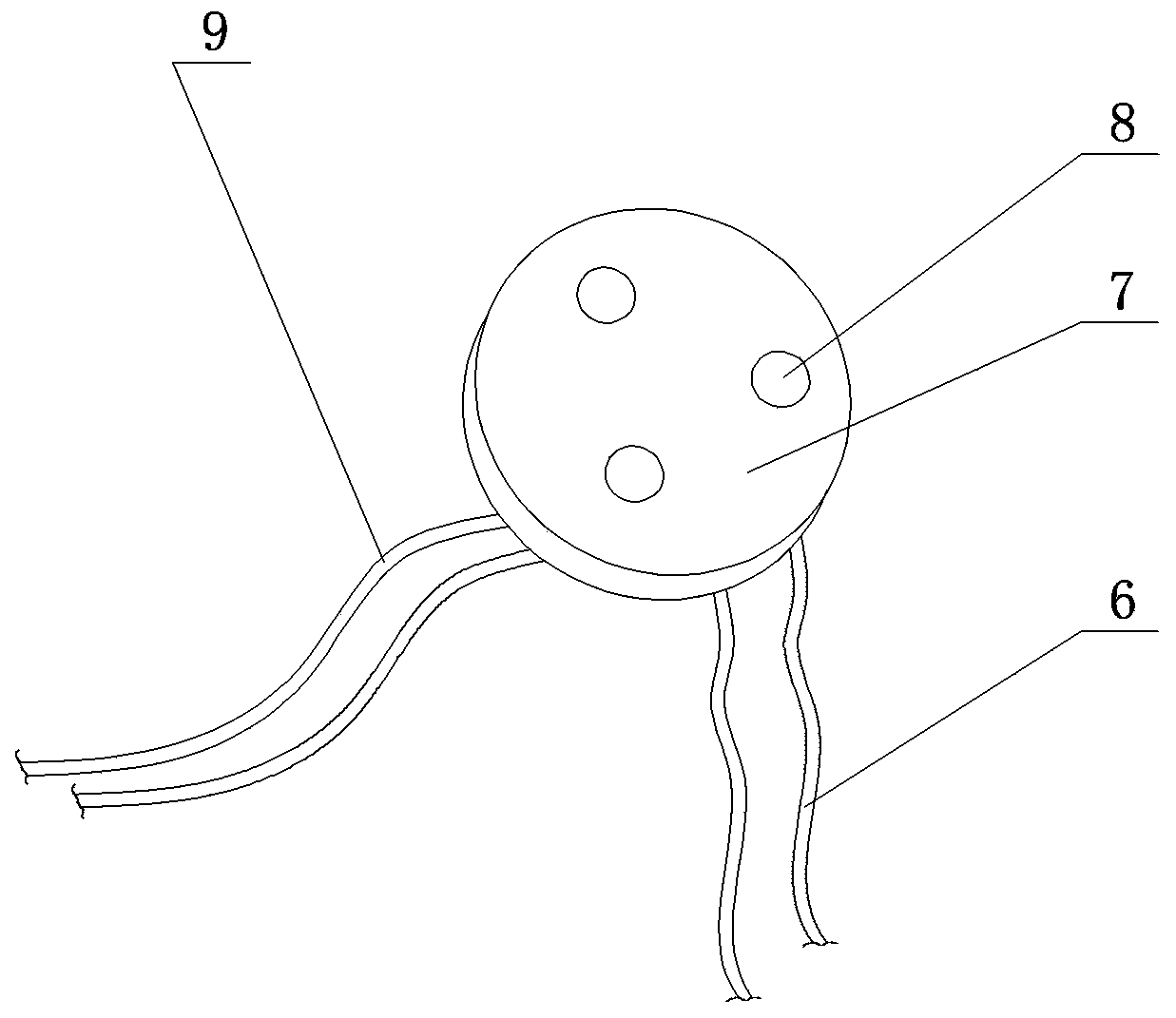 A device for inducing body immunity against cervical human papillomavirus infection